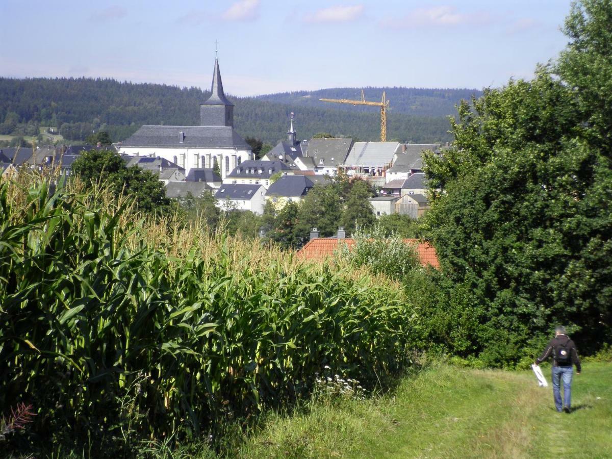 Ferienwohnung Am Weissenstaedter See Weißenstadt Buitenkant foto
